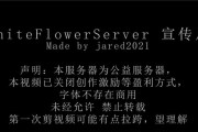 建立服务器字体需要哪些步骤？