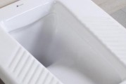 如何疏通堵塞的蹲便器（掌握简便有效的窍门）
