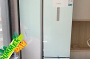 解析西门子冰箱E1故障及维修方法（详解西门子冰箱E1故障原因和解决方法）