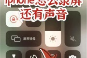 苹果电脑如何设置录屏时的声音？