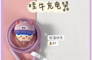 苹果不建议用的充电器有哪些特征？
