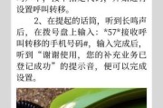 苹果呼叫转移如何设置？设置苹果呼叫转移的步骤是什么？