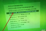 U盘插到电脑上没有显示的原因及解决方法（探究U盘插入电脑未显示的可能原因和有效解决方案）