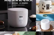 智能电饭煲显示故障分析与解决方案（探究智能电饭煲显示故障的原因及应对策略）