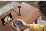 幸运之杖switch如何快速找到？