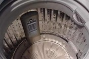 全面指南（一步步教你清洗直立洗衣机）