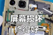 苹果手机白屏官方维修流程是什么？
