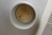 电热水器排污口漏水的解决方法（应对电热水器排污口漏水的有效措施）