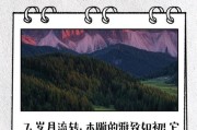 实木音箱推介文案范文怎么写？写作技巧是什么？