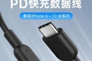 苹果弯头充电器插头的正确名称是什么？