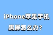 软件导致黑屏的解决方法是什么？
