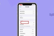 视频通话设置（提升沟通效率，实现清晰流畅的视频通话体验）