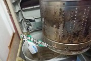 如何正确清洗以上海滚筒洗衣机（简单易行的清洁步骤让您的洗衣机保持干净）