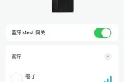 路由器带中枢的作用是什么？它如何提升网络性能？