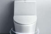 解决恒洁马桶不抽水问题的方法（恒洁马桶不抽水原因和解决方法）