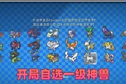 神奇宝贝服务器设置有哪些步骤？