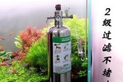 饮水机养鱼，打造别样水族世界（创意科技改造｜打造清新水生生态）