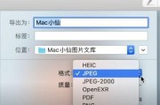 手机图片格式转换教程（简单操作）