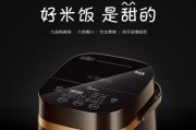 韩式电饭煲屏幕不亮的解决方法（怎么修复韩式电饭煲屏幕亮度问题）