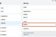 平板电脑显示屏1.0设置方法是什么？设置后显示效果如何？