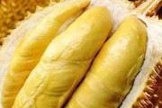 电脑配置怎么看榴莲？电脑配置与榴莲有什么关系？