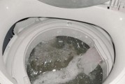 如何正确拆开清洗饮水机（简单易行的清洗方法保证您的饮水机卫生）