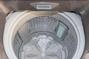 洗衣机不脱水的原因和解决方法（揭开洗衣机不脱水的神秘面纱）