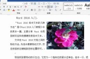如何调大Word字体（简单操作让文档更易阅读）