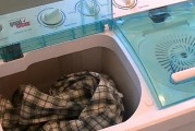 如何处理洗衣机里的纸屑（有效清除洗衣机内的纸屑）