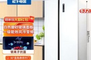 松下冰箱漏电维修处理（解决家庭冰箱漏电问题的维修指南）