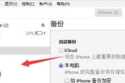 如何清除iPhone存储空间中的系统数据（快速释放iPhone存储空间，提升设备性能）