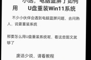 初学者如何用u盘制作系统盘？详细教程指南是什么？