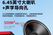 音箱喇叭口径大小如何选择？喇叭口径大小对音质有何影响？