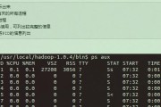 Linux系统中查看CPU和内存的命令（掌握Linux中CPU和内存查看命令）
