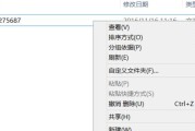 揭秘U盘中无法删除文件的原因（探索U盘文件无法删除的可能原因及解决方法）