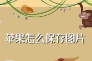 如何将苹果手机备份到另一个苹果手机（简易教程，快速迁移数据的方法）