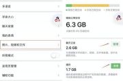 苹果手机清理缓存后无法上网的问题解决方法（解决苹果手机清理缓存后无法上网的简单方法）