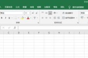 Excel表格边框美化技巧（实用方法帮你打造精美的表格边框）