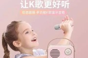 2024款k歌音箱怎么用？有哪些功能和使用技巧？