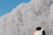 雪天男生手机拍照姿势推荐有哪些？