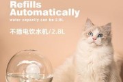 如何彻底清洗猫咪饮水机（轻松保持猫咪健康饮水）