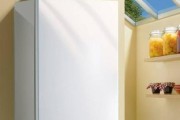 如何处理家里没人时的壁挂炉问题（学会正确操作和保养壁挂炉）