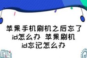 苹果X刷机全攻略（一步步教你如何完美刷机，解锁iPhoneX的更多可能性）