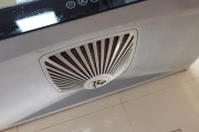 申海脱排油烟机的清洗方法（如何正确清洗申海脱排油烟机）