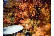 农村婚礼拍照时手机调色技巧是什么？