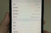 苹果13开了蜂窝数据却没有网（探索苹果13蜂窝数据无网络的问题及解决方案）