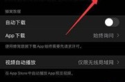 苹果13（一键安装，畅享应用世界）