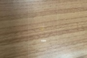苹果13promax相机设置技巧？如何拍出最佳照片效果？