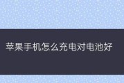 揭秘iPhone手机电池健康值的真相（了解iPhone电池寿命及维护方法，让手机更持久耐用）