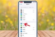 探索iPhone小圆点的主题设置（个性化定制你的iPhone小圆点）